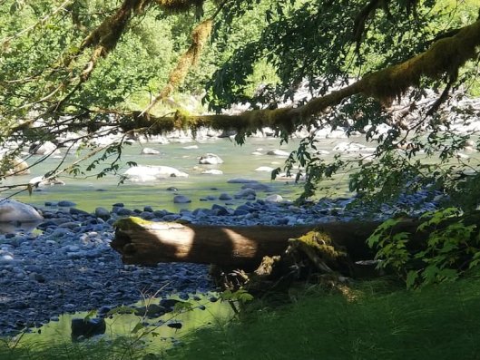 snohomish cabin rentals